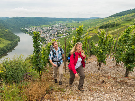 Blick aus den Weinbergen des Steffensbergs auf Kröv