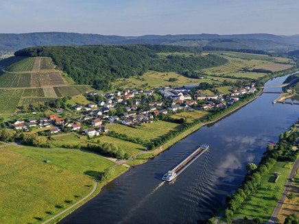 Weinlage Ayler Kupp mit der Saar