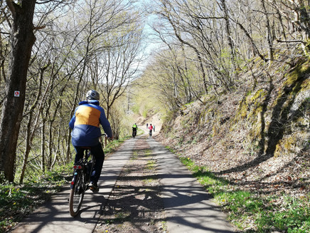Cycle path along the Lützbach