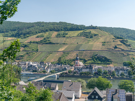 Blick auf Zell vom Mosel-Radweg