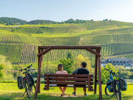 Pleasure cycling along the Mosel route near Erden
