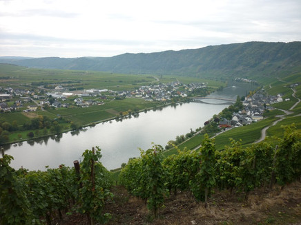 The Mosel at Piesport