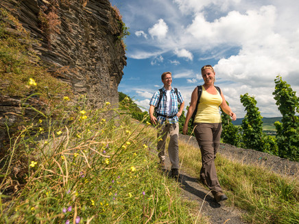 Schieferfelsen entlang des Weges auf dem Brauneberg unterhalb des Kammerfelsens