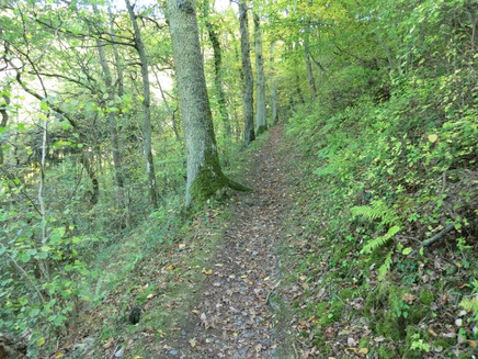 Pfadpassage im Kallenfelstal