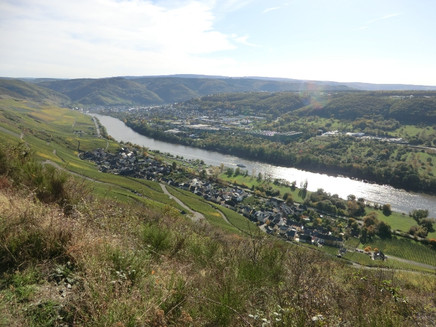 Blick aus den Weinbergen oberhalb von Graach auf Graach und Bernkastel