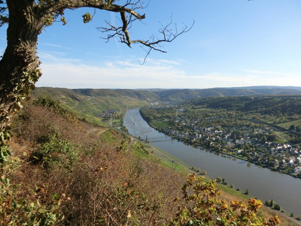 Aussichtspunkt Zeltinger Berg: Wehlen mit Hängebrücke, Graach und im Hintergrund Bernkastel-Kues