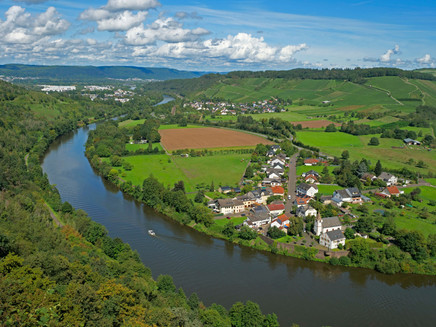 Saar bei Konz-Hamm