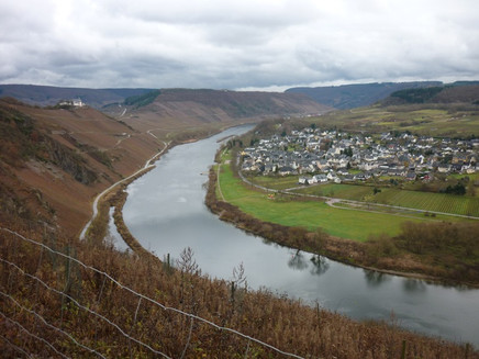 View from the Drieschhütte of Pünderich and the Marienburg