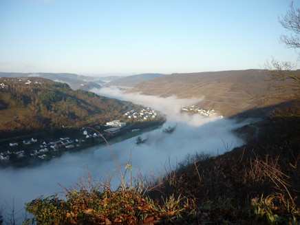 View from the Collisturm towards Bullay and Marienburg