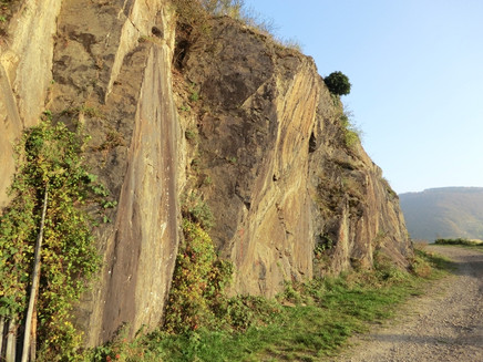 Cliffs above Senheim