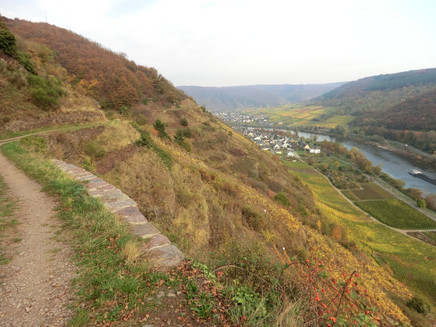 View from the Apolloweg upstream along the Moselle towards Valwig