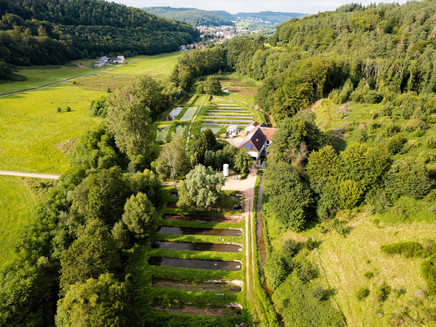 Forellengut Rosengarten Trassem (2)