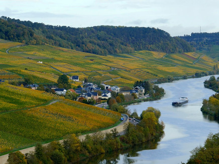 Obermosel im Herbst