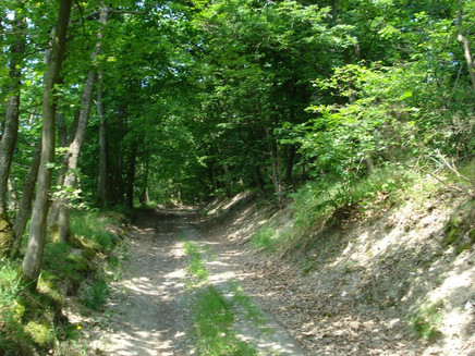 Schattenspendende Passagen inklusive