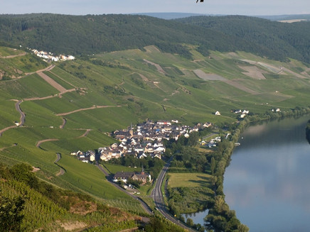 Himmelreich-Panorama über der Mosel