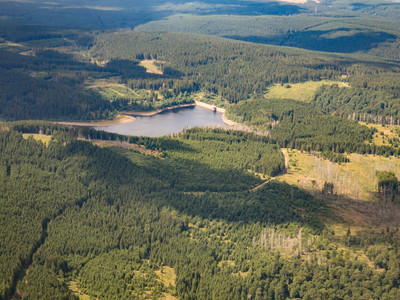 Eckerstausee in the Harz National Park