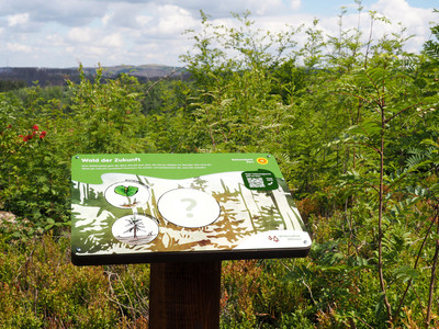 Wie wird der Wald der Zukunft aussehen?