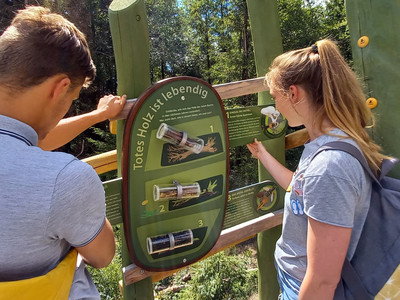 Deadwood is full of life