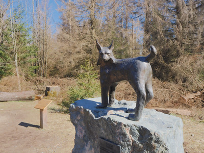 Am Luchsdenkmal