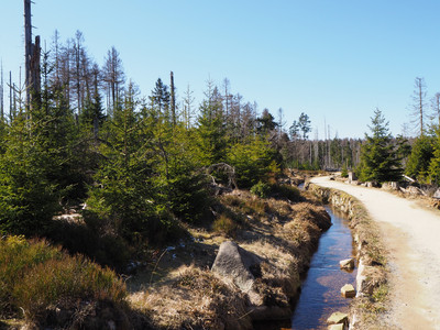 Auf dem Goetheweg entlang des Abbegrabens