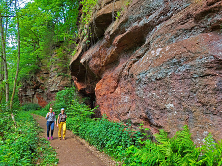 Kollesleuker Schweiz