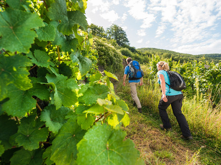 Aufstieg zur Burg Thurant