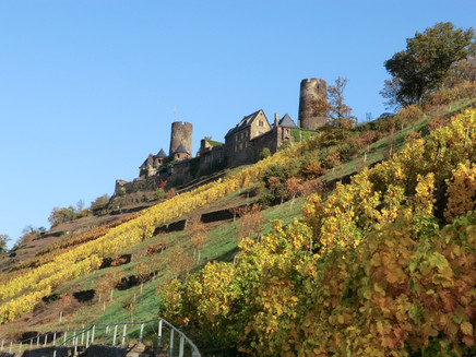 Burg Thurant oberhalb der Alkener Weinberge