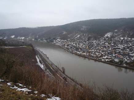 View from the vineyards over the Koblenz district Lay