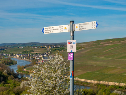 View from Rehlingen near Nittel over the Moselle Valley near Wormeldange (Luxembourg)