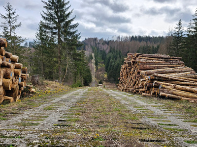 Kolonnenweg bei Sorge