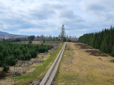 Kolonnenweg im Freiland-Grenzmuseum Sorge