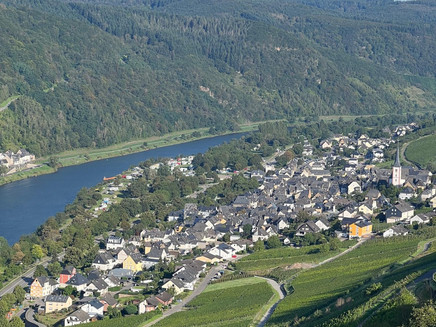 Ausblick auf Enkirch