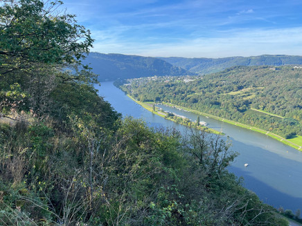Ausblick aufs Moseltal