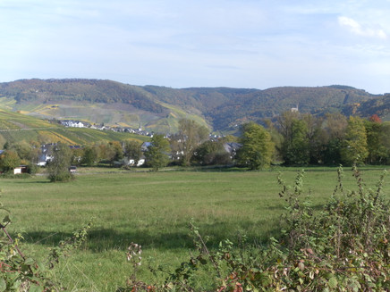 Moselkulturlandschaft: Ideal zum Wandern