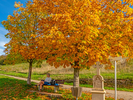 Karlskopf Panoramaweg (2)