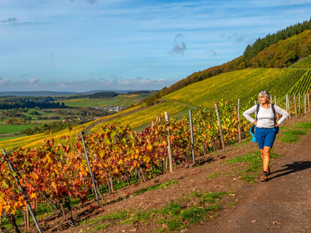Karlskopf Panoramaweg (3)
