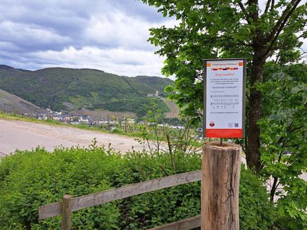 Blick auf die Burg Landshut