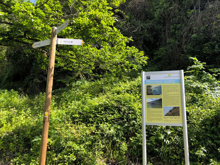 Infotafel-Zollturm