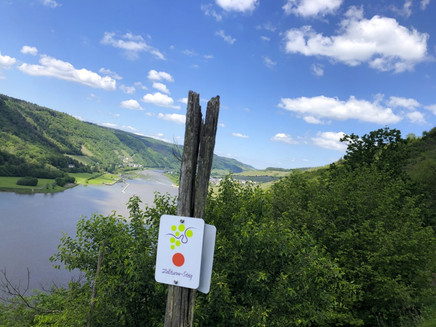 Zollturmsteige-RoteRunde Wegweiser