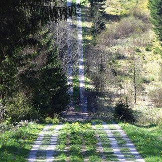 Kolonnenweg entlang der ehem. innerdeutschen Grenze