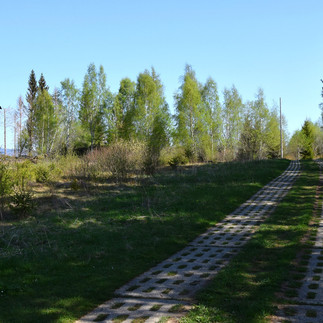 Grünes Band entlang des Plattenweges