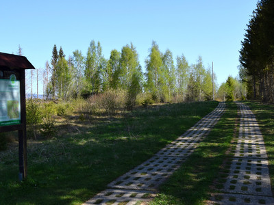 Grünes Band entlang des Plattenweges