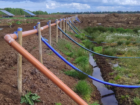 202505 Torfmoosfeld Wasserzulauf Schlaeuche