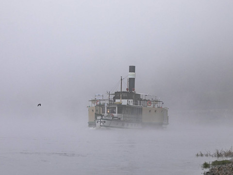WFS_ Elbinselthriller_Steffen Kuttner.jpg