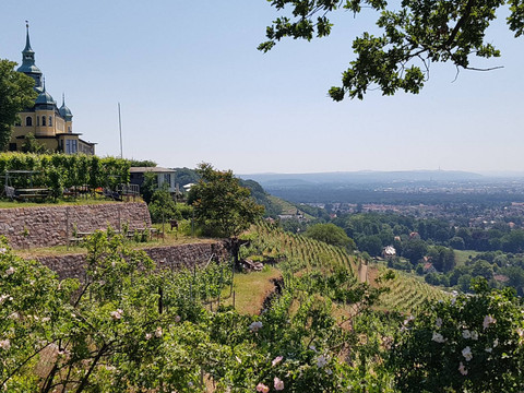 Aus Weinfässern nippen.jpg