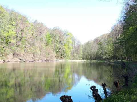 Im Seußlitzer Grund.jpg