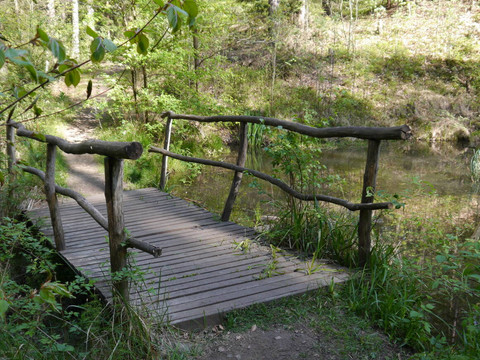 Kleine Brücke nahe der Priesnitz.JPG