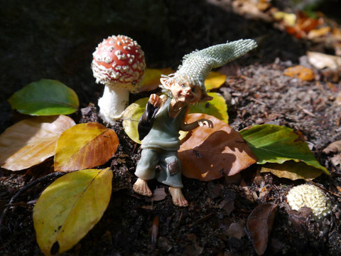 Kobold im magischen Reich1 © Diana Mirtschink.JPG