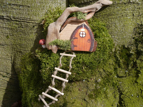 Im Magischen Reich © D. Mirtschink.JPG