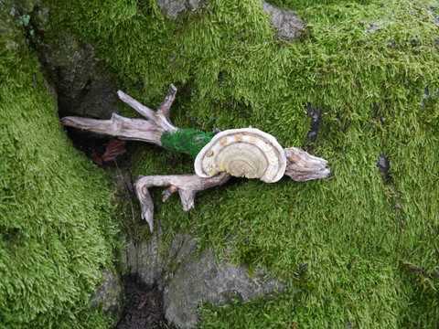 Festdekoration Feentanzplatz 2© Diana Mirtschink.JPG